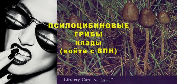 PSILOCYBIN Армянск