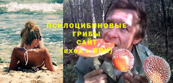 PSILOCYBIN Армянск