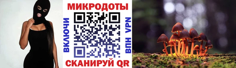 закладка  Ивдель  Псилоцибиновые грибы ЛСД 