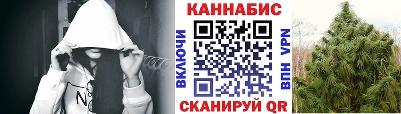 как найти наркотики  Ивдель  Канабис сатива 